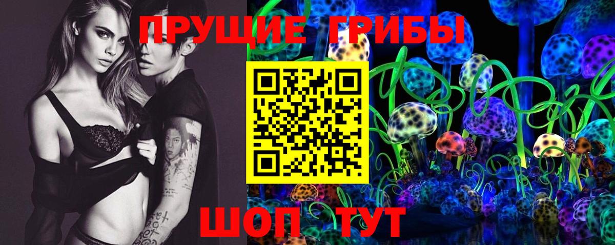 Псилоцибиновые грибы MAGIC MUSHROOMS  Вход с VPN  Заинск 