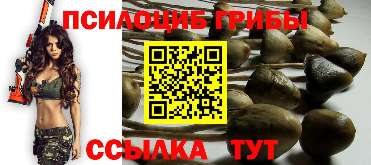 Псилоцибиновые грибы Cubensis Заинск